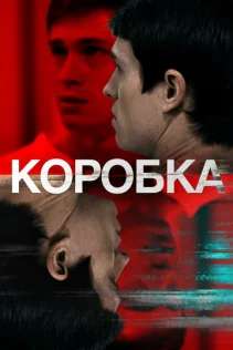  Коробка 