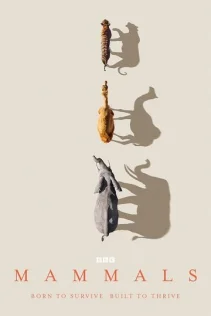  Млекопитающие 